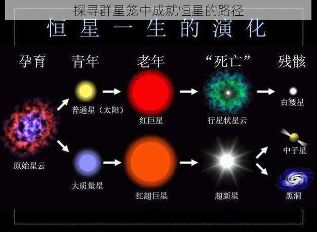 探寻群星笼中成就恒星的路径