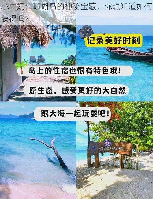 小牛奶：珊瑚岛的神秘宝藏，你想知道如何获得吗？