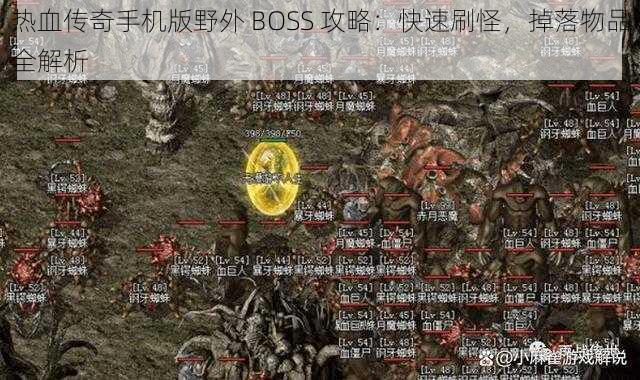 热血传奇手机版野外 BOSS 攻略：快速刷怪，掉落物品全解析