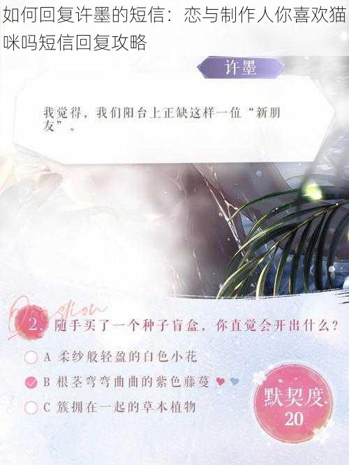 如何回复许墨的短信：恋与制作人你喜欢猫咪吗短信回复攻略