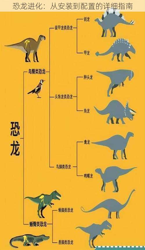 恐龙进化：从安装到配置的详细指南