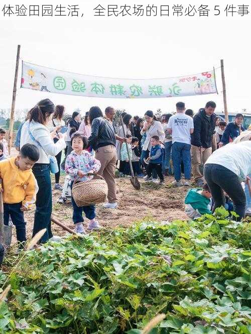 体验田园生活，全民农场的日常必备 5 件事